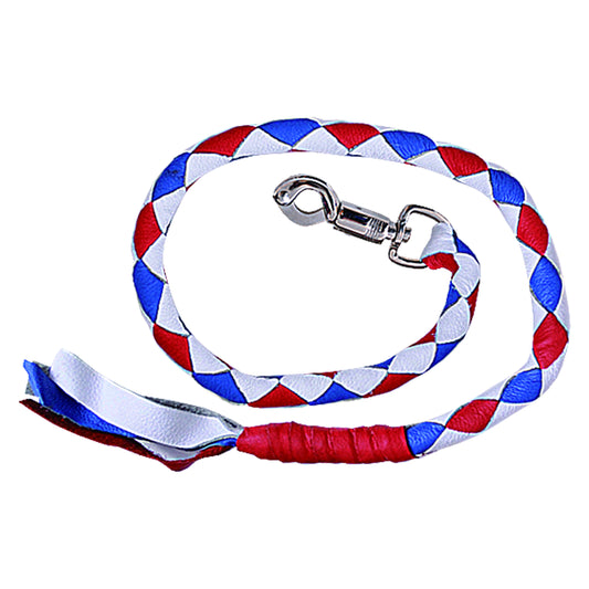 Braided dog leash 
